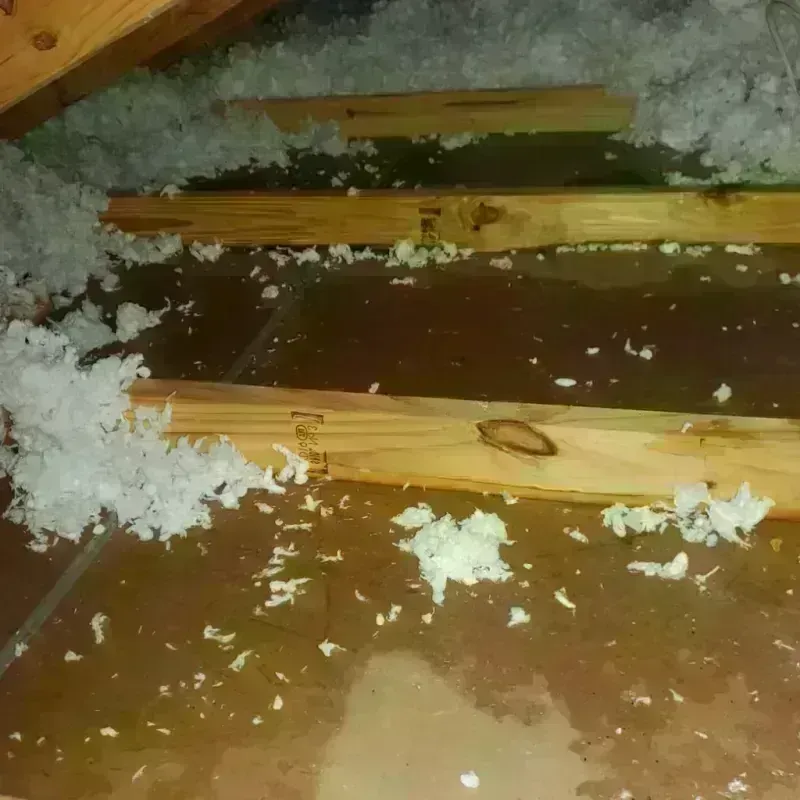 Attic Water Damage in French Settlement, LA